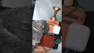 شوق اليماني لاسمع قح قم 