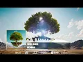Download Lagu Sonic Sense - Reborn
