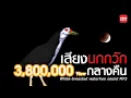 Download Lagu เสียงนกกวัก กลางคืน Suara burung ruak ruak เสียงชัด100% Original