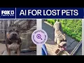 AI is helping lost pets return home
