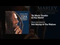 Download Lagu So Much Trouble In The World (1995) - Bob Marley \u0026 The Wailers