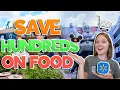 EASY Walmart Grocery Delivery Tutorial at Disney World Save Money on Food