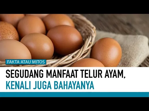 Telur Ayam Kampung atau Ayam Negeri? Mana Lebih Sehat?