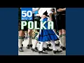Download Lagu Stag Party Polka (Herrenabend)