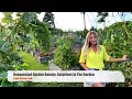 Download Lagu Unexpected Garden Bounty: Surprises In The Garden (A July Garden Tour)