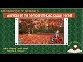 Knowledge 8 Ls 5 Temperate Deciduous Forest