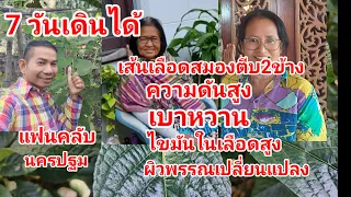 เส้นเลือดสมองตีบ 2 ข้าง 7 วันเดินได้ผิวพรรณเปลี่ยนแปลง@สมุนไพร #โจฮักนะสารคาม #ลุงโจสมุนไพร EP.1771