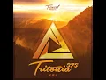 Tales Of The Future (Tritonia 375)