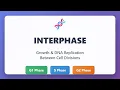 Interphase Explained G1 S and G2 Phases of the Cell Cycle Cell Division Series
