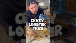 Lobster season is here🦞 Try out this crazy trick next time you are cooking one #sailingbyefelicia