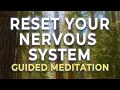 Deep Nervous System Reset Hypnosis Heal the Gut Quiet the Mind Nourish the Soul