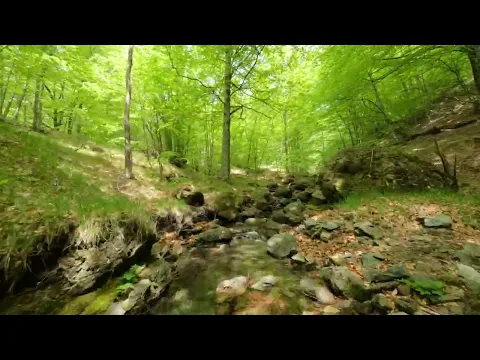 Nature Landscape — Water Stream, Grondana, Italy