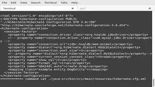 Programming java maven blade hibernate hsql api