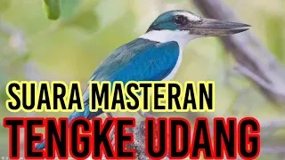 masteran suara burung tengkek udang jitu banget