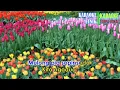 Download Lagu GINAWO KU KAGASAN( KARAOKE)
