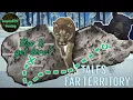 How to get to the Far Territories The Long Dark TFTFT