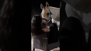 نادر الشراري يحبك قلبي 