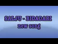 SALJU BAND - BIDADARI(video lirik)