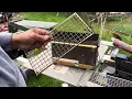 BBQ grill from Harbor Freight ammo box