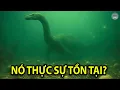 Download Lagu Hồ Loch Ness Cuối Cùng Đã Được Chứng Minh Là Có Thật Và Khiến Cả Thế Giới Chấn Động | TUYỆT MẬT TV