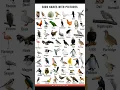 Download Lagu All Birds name in English #birds #birdphotography