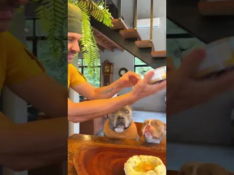 soy el perro atunero más guapo? #viral #perros #perrofeliz #dúo