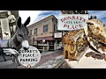 Donkey s Place Home Of The Round Roll Cheesesteak