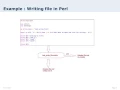 Perl File Handling write file