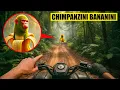 Download Lagu ¡DRON capta a CHIMPANZINI BANANINI ESCAPANDO en la VIDA REAL! (¡corre RÁPIDO!) BRAINROT ITALIANO