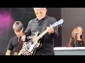 The Lightning Seeds - Pure