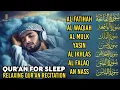 Ultimate Quran Recitation in A Peaceful Voice I Alfatiha, Yasin,Arrahman ,AlWaqiah,Almulk -Alaa Aqel
