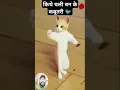 Download Lagu Kithe Chali Kithe Chali Banke Kabutari #bankekabutri #kabutri #funnyshorts #shortsfeed #funnyvideos