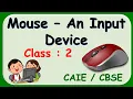 Mouse - An Input Device Class 2 Computer CAIE CBSE Computer Mouse