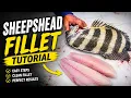 The CORRECT Way to Fillet SHEEPSHEAD Full Tutorial