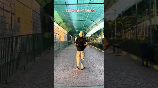 ديري جاست شباب هنيني من هاد العذاب عمري ولي Rai Kaderbelabbes Rai2025 متوحشك 