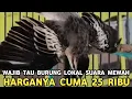 Lagu GAK DISANGKA BURUNG LOKAL HARGA 25 RIBU SUARANYA SEMEWAH INI !!!!