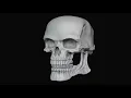 Download Lagu Skull Meme