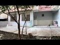 OZEL BAHCELI VE ESYALI 3 1 KIRALIK DAIRE