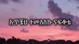 Aster Aweke Temetaleh Beye Aster Aweke Akal Sew Lyrics 