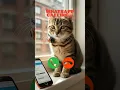 Download Lagu Whatsapp calling #ringtone #cat #trending #cutecat #youtubeshorts #viralshort #calling #kitten