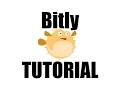 Bitly Tutorial