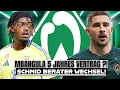 Download Lagu Mbangula 5 Jahres Vertrag?! / Schmid Berater Wechsel! Abschied?