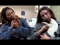 Homeless pets arrive in New Jersey to find fur-ever homes REUTERS