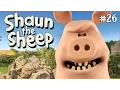 Lagu Pig Trouble | Shaun the Sheep Season 2 | Full Episode