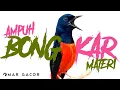 Download Lagu MURAI BATU GACOR FULL ISIAN TEMBAKAN KASAR dan KRETEKAN UNTUK MURAI BATU BONGKAR MATERI