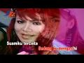 Download Lagu Erni Ardita - Janda [ Video HD ]