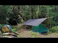 Download Lagu camping di hutan kalimantan berburu ikan masak gulai ikan baung asam pedas hasil pancing