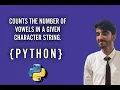 Counting Vowels in a String Using Python Python Programming Tutorial