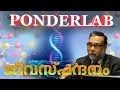 Download Lagu ക്രമരഹിത ജീവതാളം ക്രമതാളത്തിൽ എത്തുന്നതെങ്ങനെ?  | Journey  of Rhythms | Ponderlab |