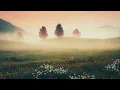 Augan - Affection